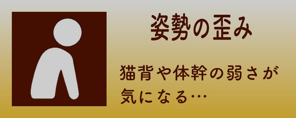 姿勢の歪み